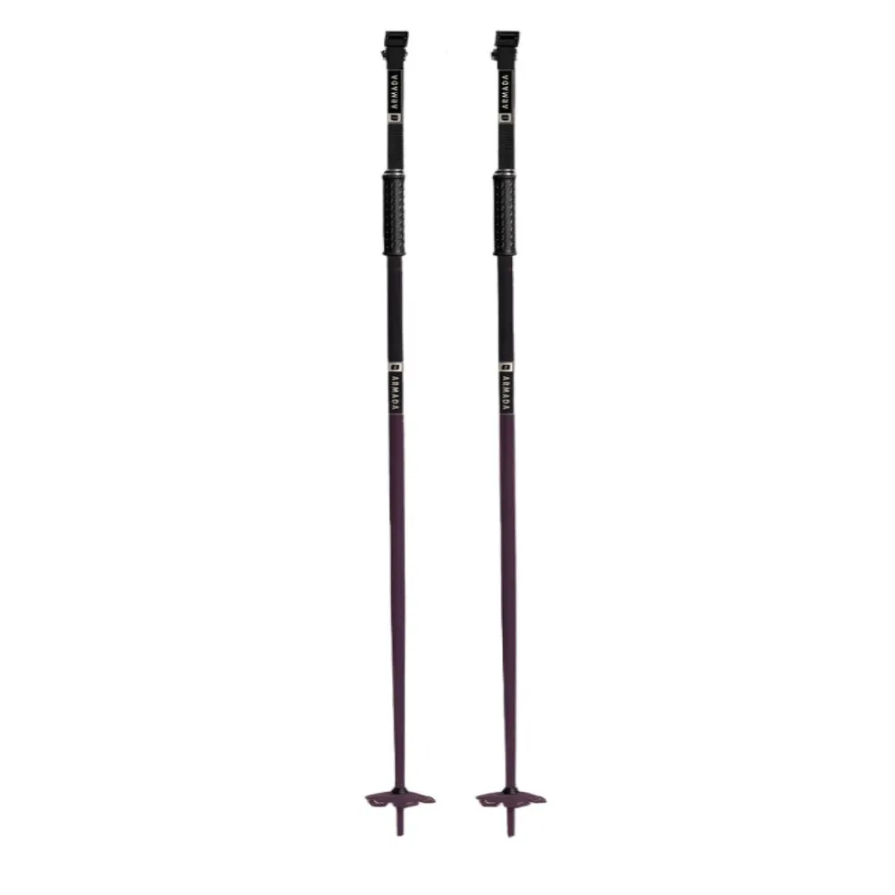 Legion Ski Poles