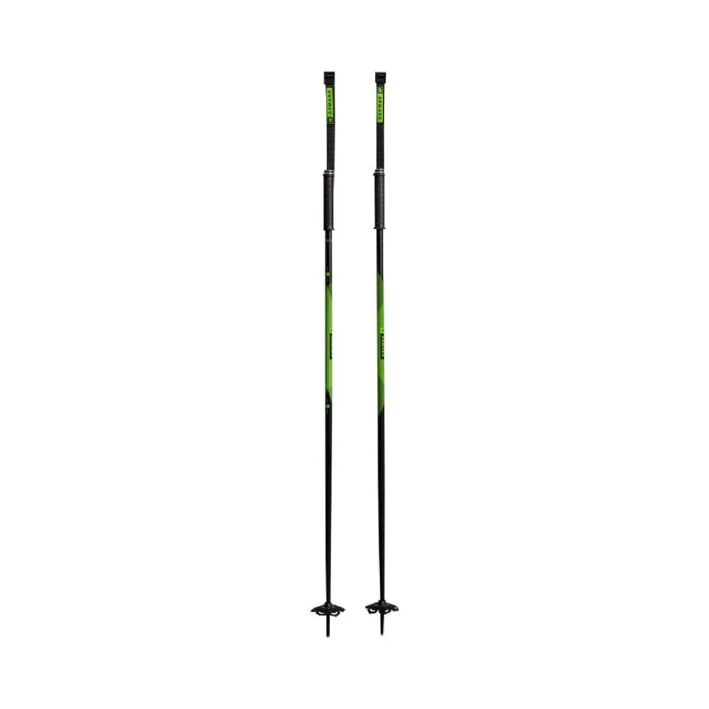 Legion Ski Poles