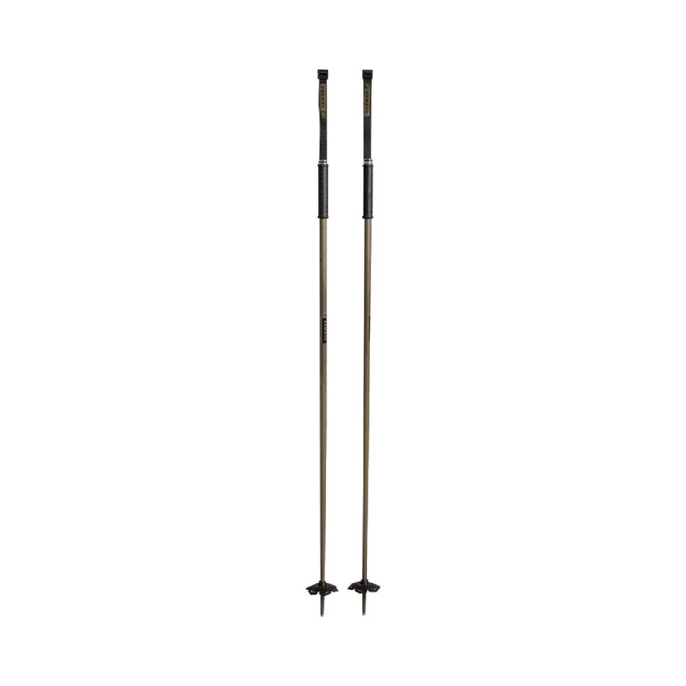 Legion Ski Poles